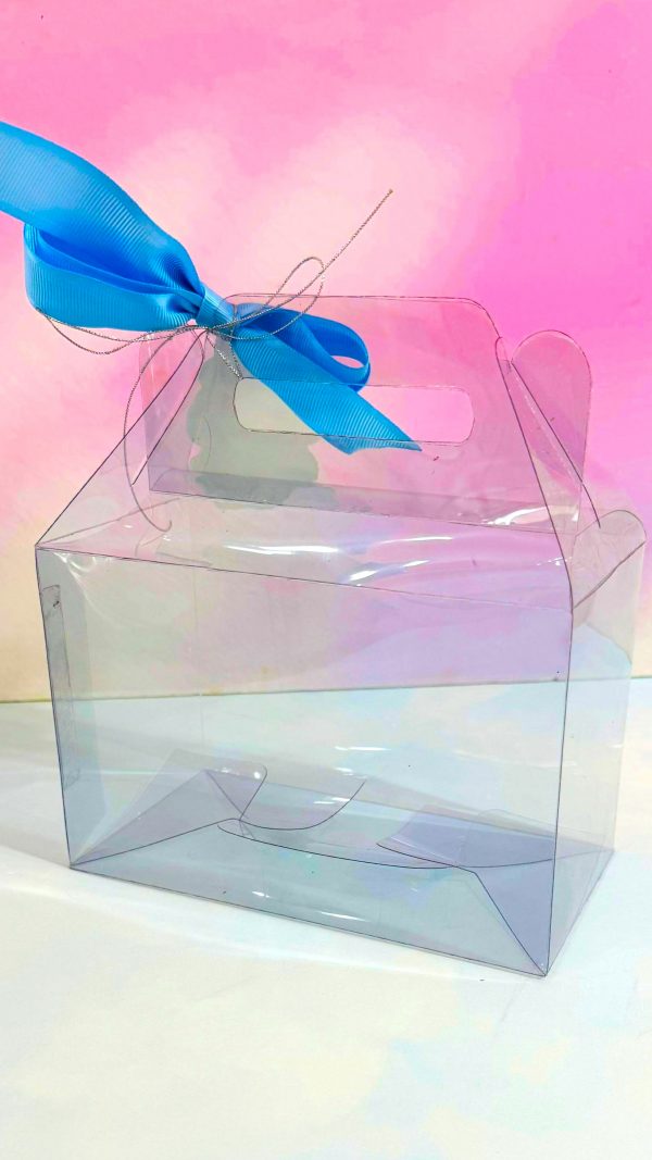 Empaque Lunchbox Grande Asa Recta Acetato Precio Individual $16 Compra minima 10 piezas - Image 5